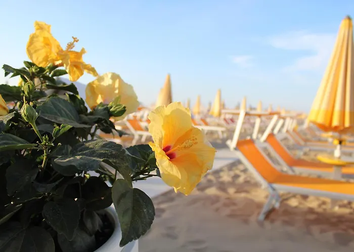Hotel Lieta 3*